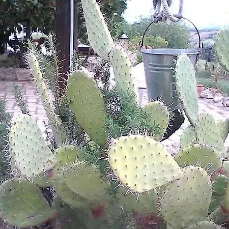 La Tenuta Del Falco * Rotondella