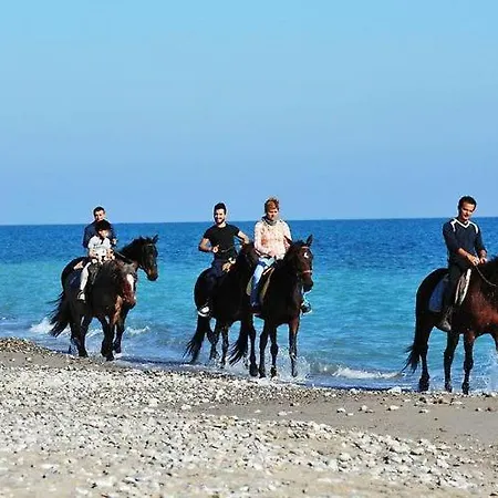 La Tenuta Del Falco